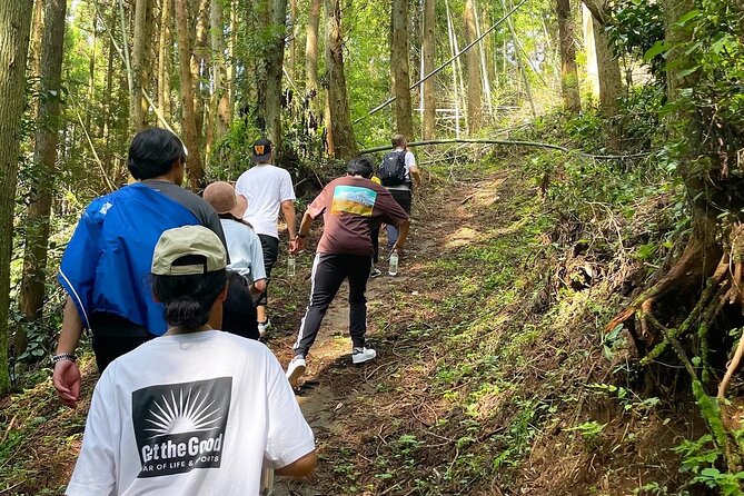 Private Guided Rural E Bike Mini Tour in Aso Minamioguni - Accessibility, Restrictions, and Weather