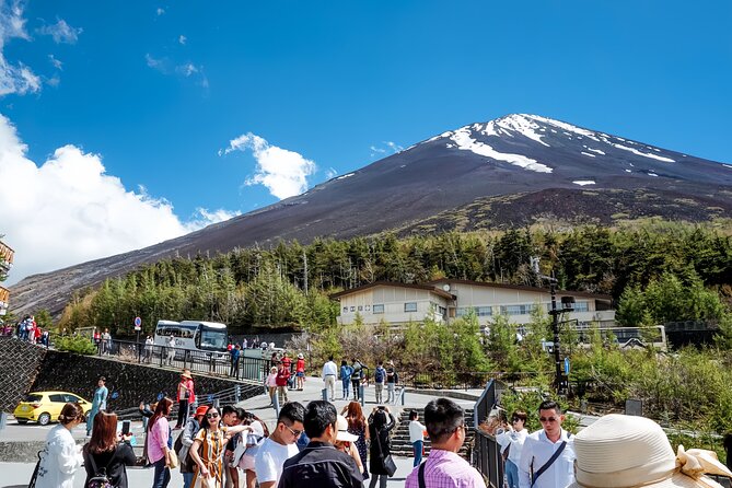 Private Guided Tour To Mount Fuji With Roundtrip Transfer - Pricing and Reservation Information