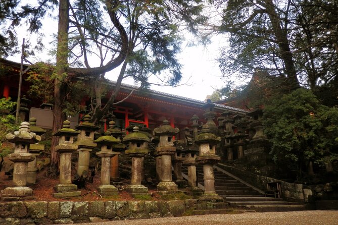 Private Journey in Nara's Historical Wonder - Indulging in Local Culinary Delights