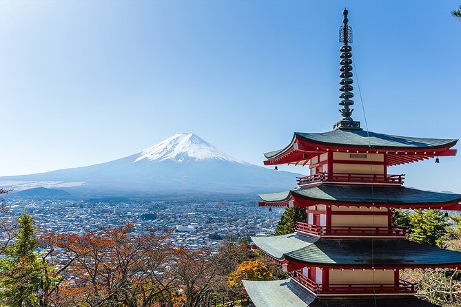 Private Mount Fuji and Hakone City Tour From Tokyo - Booking Information