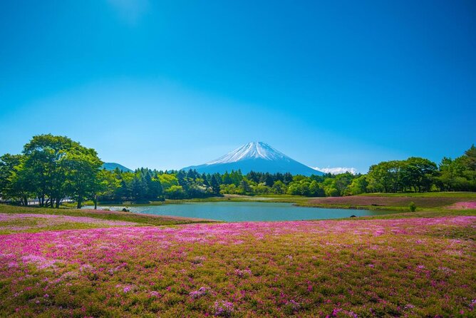 Private Mount Fuji Tour From Narita Airport /Haneda Airport/Tokyo - Meeting and Pickup Details