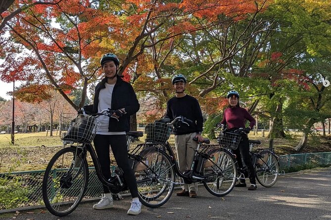 Private Nara E-Bike - Family Tour With Lunch - Additional Information