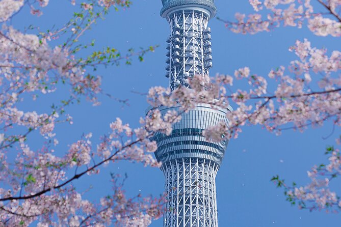 Private Tour by Car in Tokyo - Accessibility and Amenities