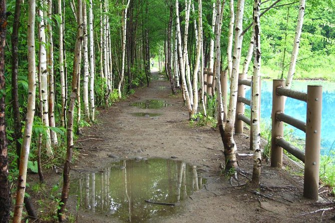 Private Tour: Full-Day Walking Tour With Professional Local Guide in Yakushima Island - Frequently Asked Questions