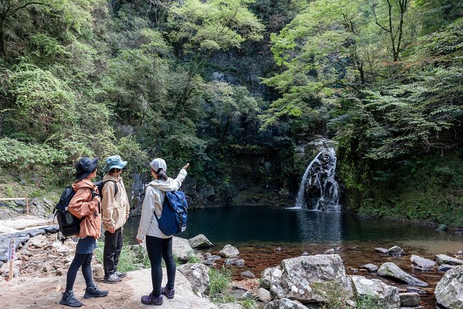 Private Tour of Akame 48 Waterfalls With Bento Making - What to Expect and Accessibility