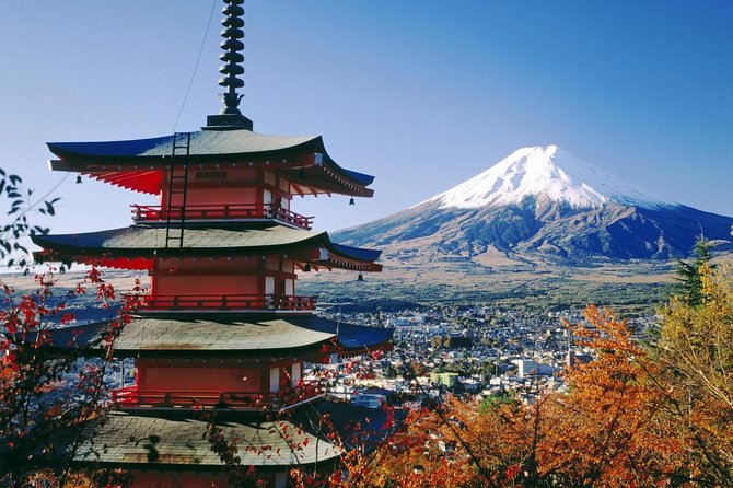 Private Transport Mt Fuji and Hakone 1 Day Trip - Payment Policy