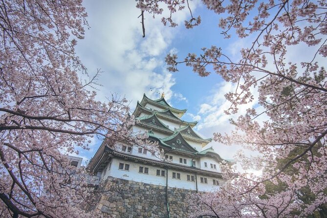 Private & Unique Nagoya Cherry Blossom Sakura Experience - Meeting Point