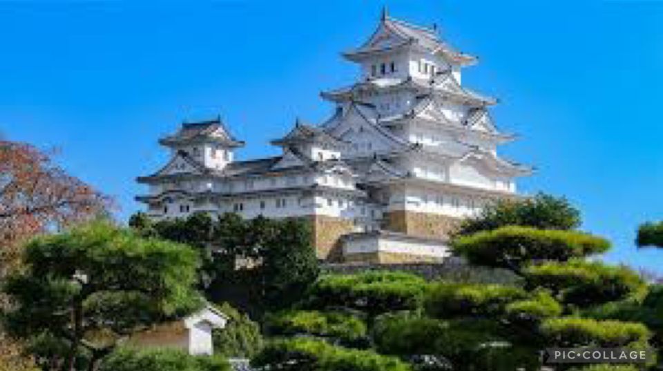Private:Full Day Kobe City Tour W/Hotel Pickup - Inclusions