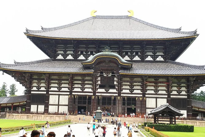 Relax in Nara: Deer Park, Todai-ji Temple and Merchants Town - Trip Highlights