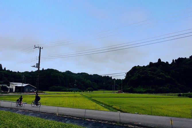 Rural Japan Cycling Tour to the Rich Nature Area in Ichinomiya - Activity Level and Maximum Travelers