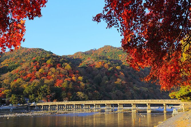 Sagano Romantic Train & Arashiyama, Kiyomizudera, Fushimi Inari Taisha Day Tour - Important Information for Participants