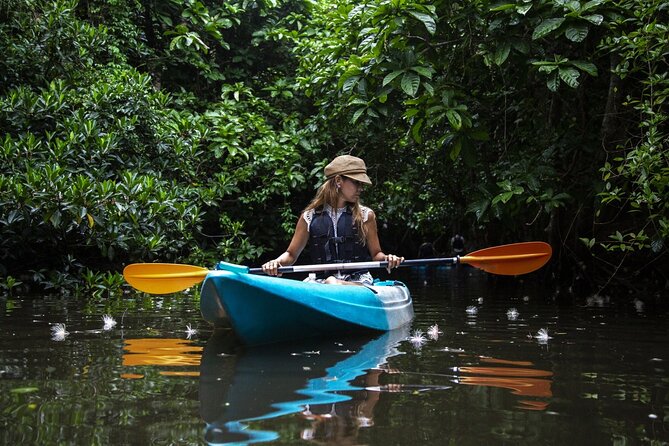 Sagaribana SUP / Canoe Tour Early in the Morning (Limited From June to August) - Cancellation Policy and Refunds