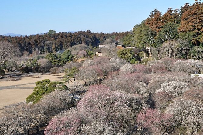 Samurai Private Tour With Umeshu Tasting in Mito - Meeting Point Instructions