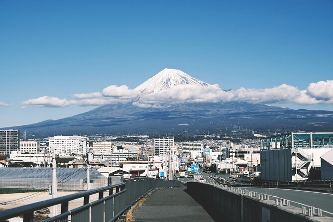 Scenic Mt.Fuji and Hakone : Owakudani , Skywalk & Yumeno Ohashi - What to Expect