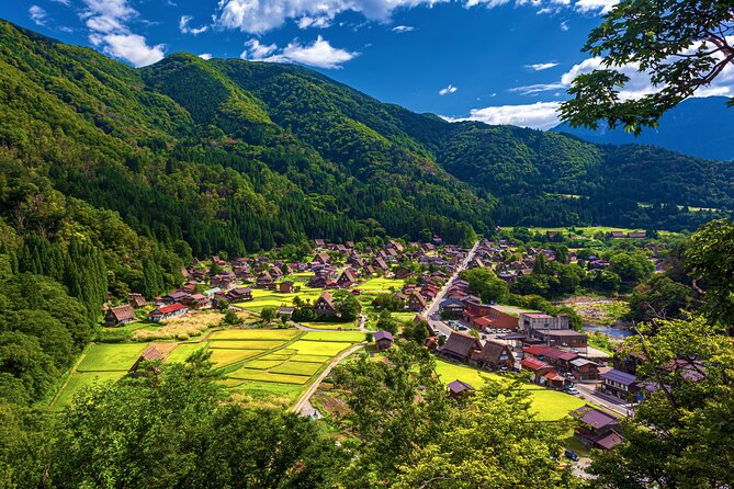 Shirakawago & Kanazawa DrivingTour: English Speaking Driver Takayama to Kanazawa - Service Offerings