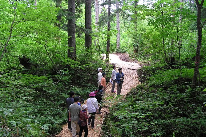 Shiratani-Unsuikyo Trekking Tour in Yakushima Island - Directions and Logistics