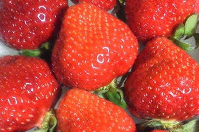 Short Day Trip Chater Bus to Strawberry Picking & Shop in Fukuoka - Booking Procedure