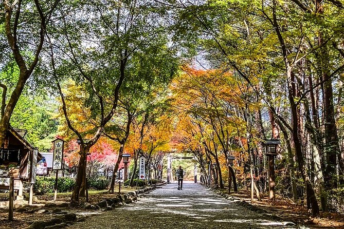 Shrine Explore in Yamanashi & Japanese Countryside Camp in Nagano - Inclusions and Exclusions