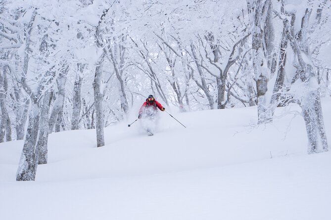 Ski or Snowboard Lesson in Shiga Kogen (4Hours) - Inclusions