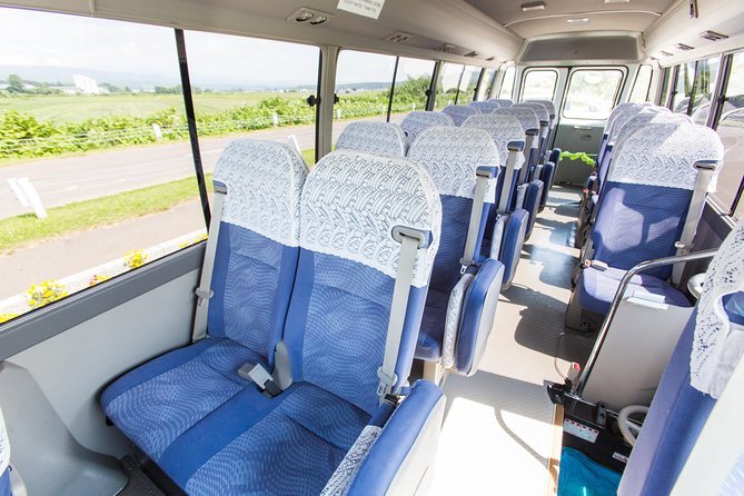 SkyExpress: 8 Hour Private Day Hire (Up to 15 Passengers) - Accessibility and Participation