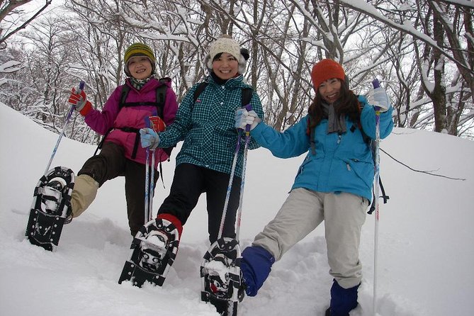 Snowshoe Tour - Meeting Point Details