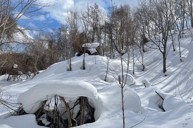 Snowshoeing Adventures in a Winter Wonderland - Sapporo - Pricing Information