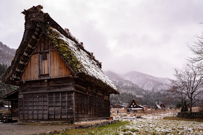 Takayama Custom Half Day Tour - Reviews and Pricing