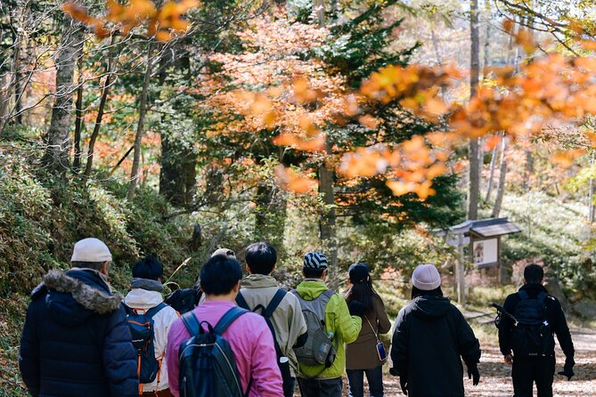 Tateshina Highland Trekking and Ride - Cancellation Policy and Price