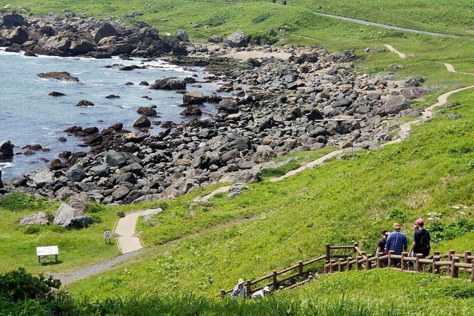 The Best Morning and Michinoku Shiokaze Trail Trekking in the Tanesashi Coast Natural Grassland - Cancellation Policy Details