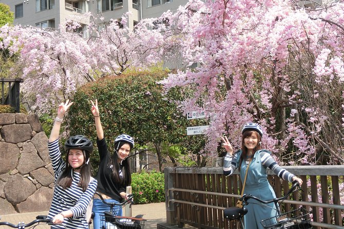 Tokyo Cherry Blossoms Blooming Spots E-Bike 3 Hour Tour - Tips and Recommendations for Travelers