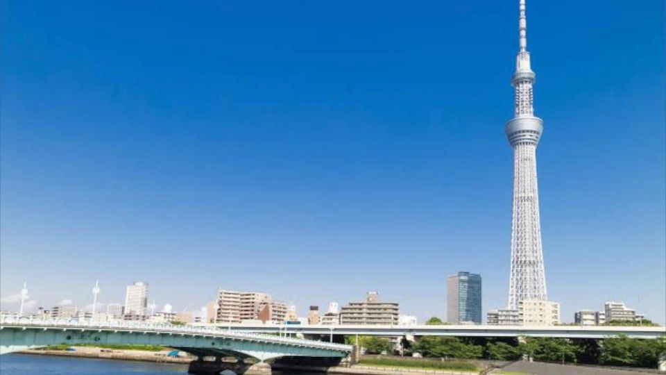 Tokyo: Customizable Private Guided Walking Tour - Language and Accessibility