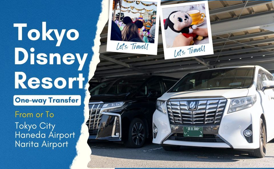 Tokyo Disney Resort Private Transfer: Tokyo, Narita & Haneda - Inclusions