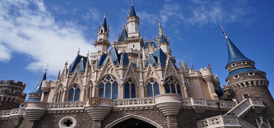 Tokyo Disneyland: 1-Day Entry Ticket and Private Transfer - Private Transfer Inclusions
