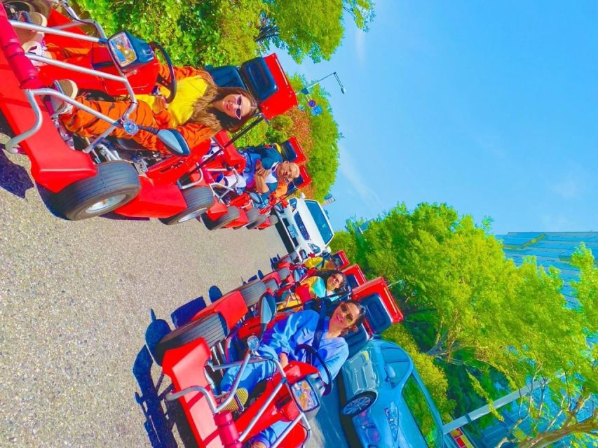 Tokyo: Guided Street Go-Karting Tour in Tokyo Bay - Participant Requirements