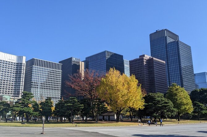 Tokyo Imperial Palace Higashi Gyoen Wellness Tour With Lunch - Meeting and Pickup Instructions