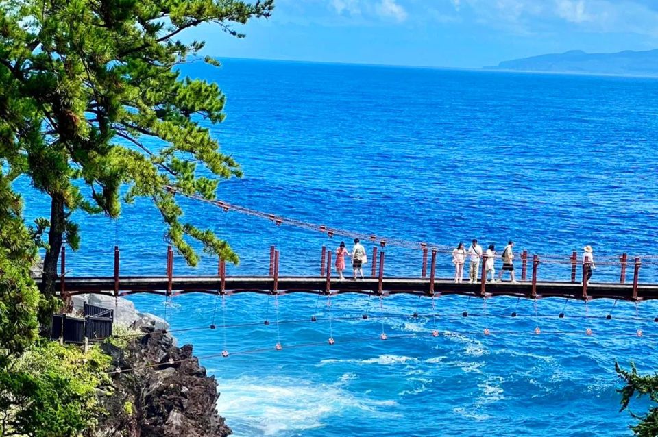 Tokyo: Izu Hydrangea Ocean, Jogasaki Beach & Hot Spring Day - Important Tour Information