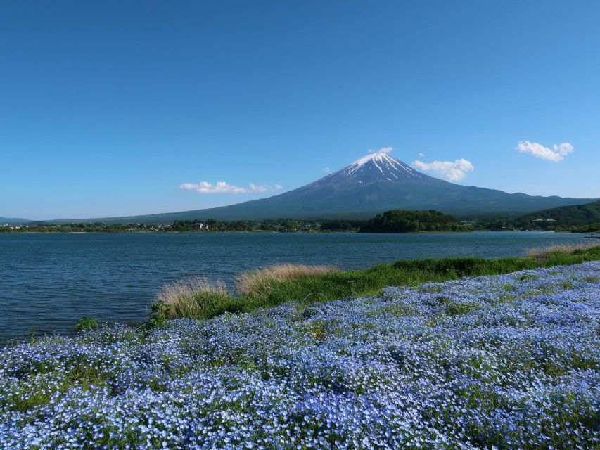 Tokyo: Mount Fuji and Lake Kawaguchi Scenic 1-Day Bus Tour - Highlights