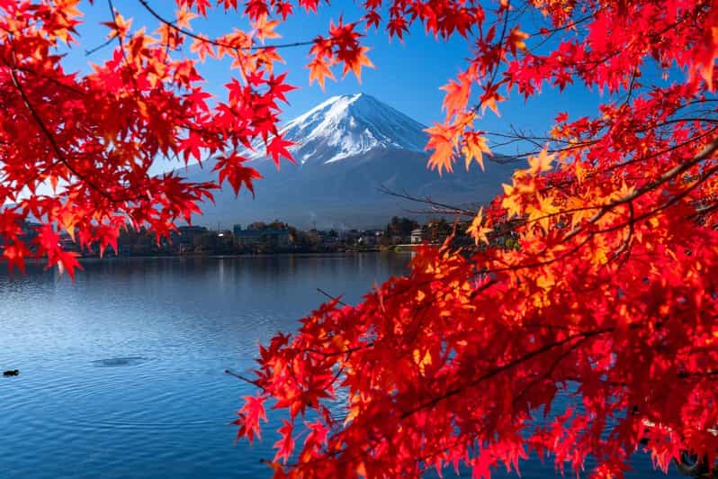 Tokyo: Mt. Fuji Festival, Ropeway, & Fruit Picking Day Trip - Customer Reviews