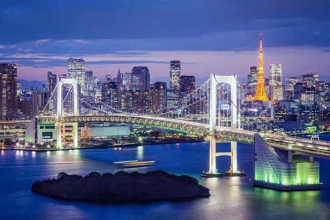 Tokyo Private Sightseeing Tour by English Speaking Chauffeur - Additional Tour Information