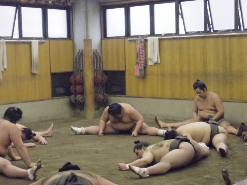 Tokyo: Sumo Morning Practice Viewing Tour - Highlights