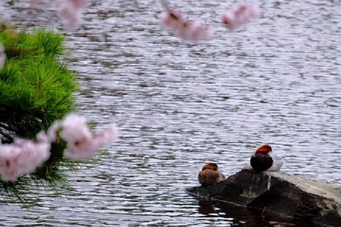 Tokyo Tsukiji & Hamarikyu Gardens Wellness Tour – Walk and Relax - Additional Info