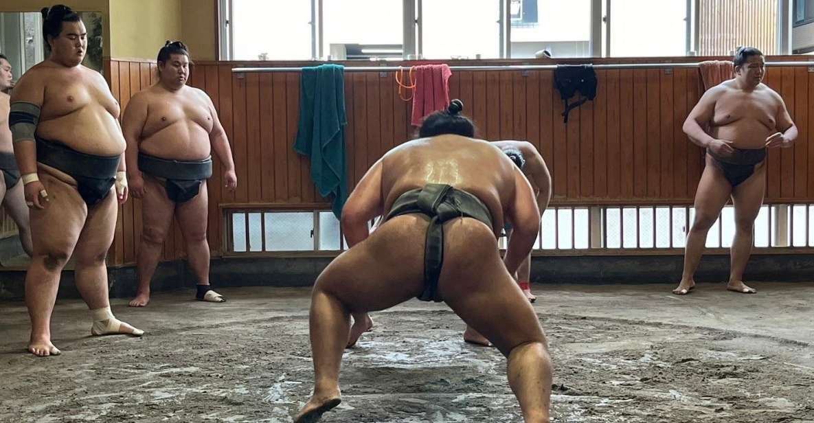 Tokyo: Visit Sumo Morning Practice With English Guide - Customer Reviews