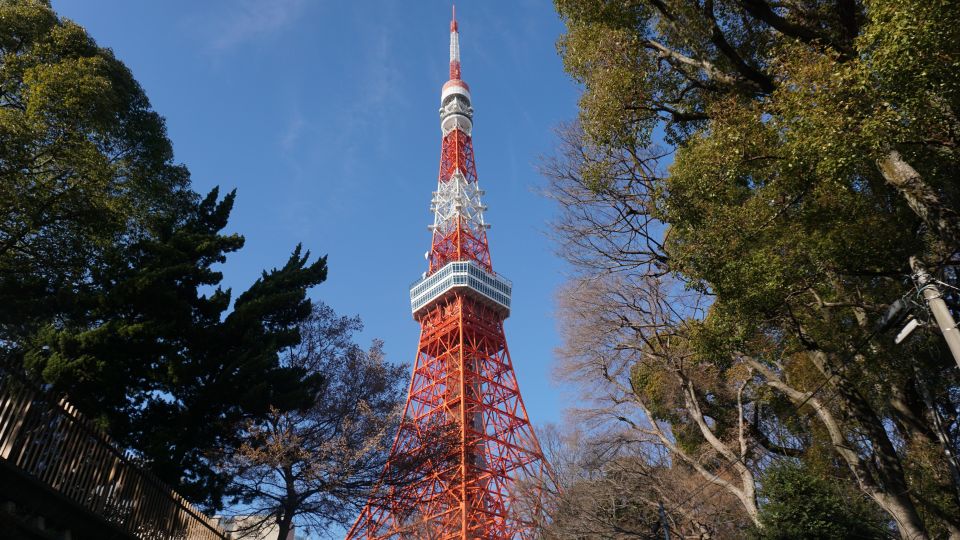 Top 3 Hidden Tokyo Tower Photo Spots and Local Shrine Tour - Reservation and Cancellation Policies