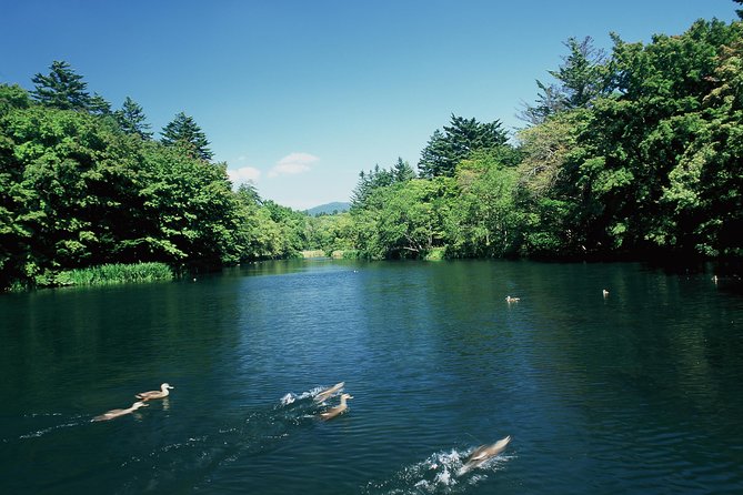 Tour With a Dedicated Car! Visiting the Basic Tourist Spots in Karuizawa (Half Day Course / Japanese Guide) - Inclusions