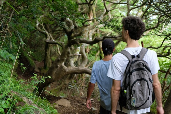 Traverse Outer Rim of Hakone Caldera and Enjoy Onsen Hiking Tour - Cancellation Policy