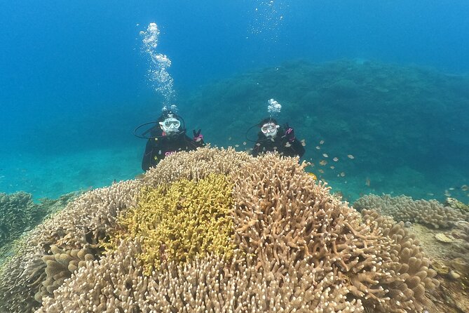 Trial Boat Dive 2 DIves at Minna or Sesoko, Okinawa - Traveler Reviews