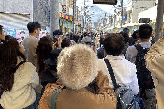 View of Mt. Fuji, Chureito Pagoda and Hakone Cruise Day Trip - Traveler Reviews