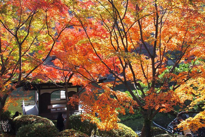 Wakayama Castle Town Walking Tour - Tour Route and Highlights