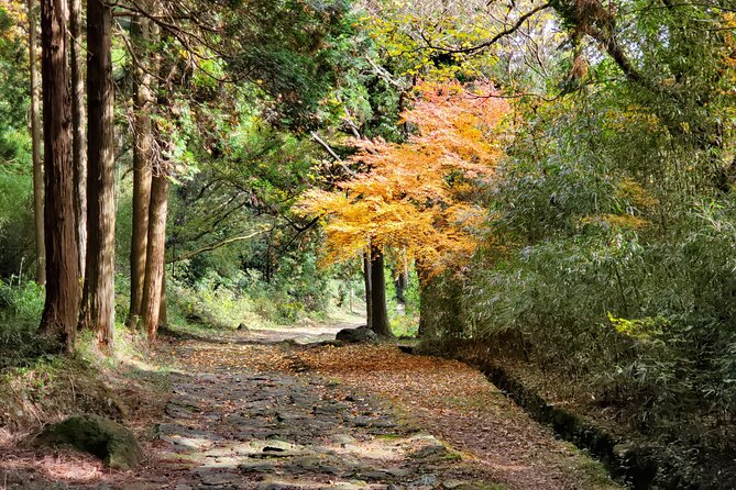 Walking Through the Aso Caldera, Historical Walk Along the Bungo Kaido - Customer Reviews and Testimonials