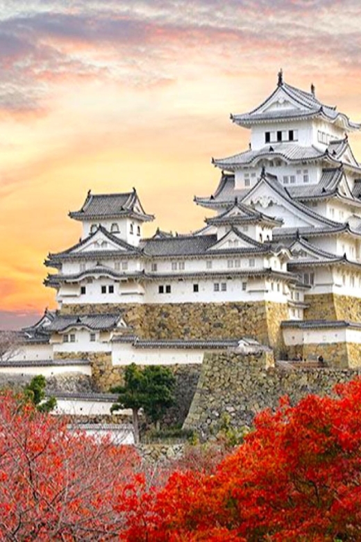 4-Day Private Kyoto Osaka Nara Sightseeing Tour With Guide - Tour Details